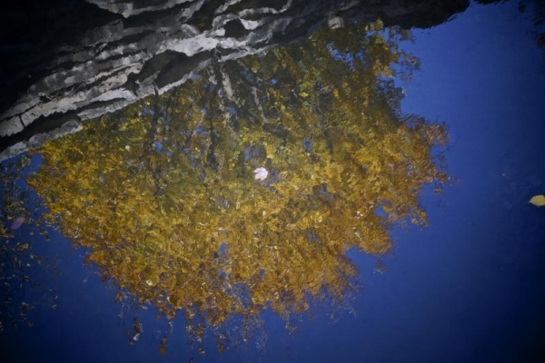 Fall colors reflected in Boneyard Creek.