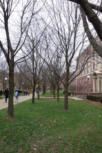 Bare trees outside Talbot.