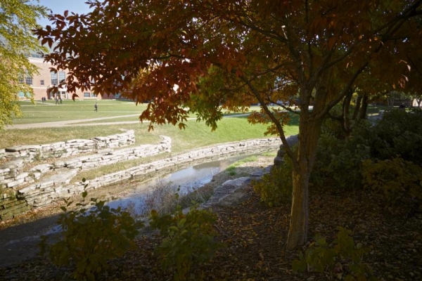 Next to the west main bridge on the Bardeen Quad.