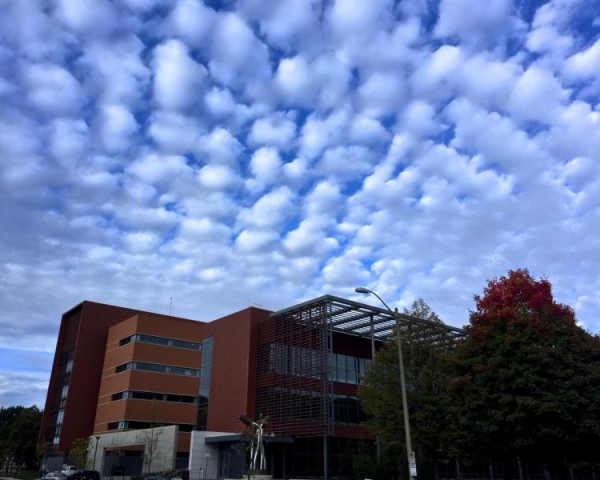 ECE Building facing Wright Street.