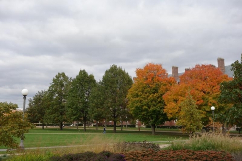 Photo by Taylor Tucker.