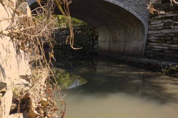 The bank of Boneyard Creek next to the west bridge along the Bardeen Quad.