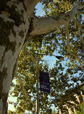 View from the bike racks outside of MEB. 