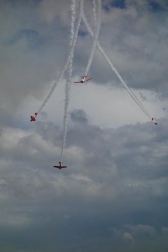 The Aeroshell T-6 Texan team performed in the airshow.