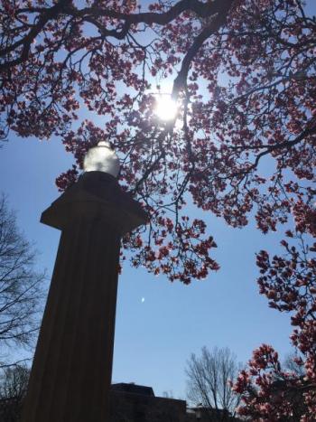 Through the seasons: late August.