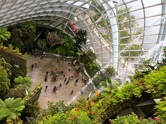 View from behind the Cloud Forest Waterfall.