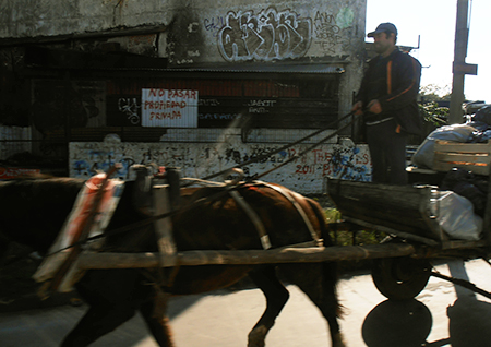  A common sight in Montevideo: a garbage cart driven by a horse.