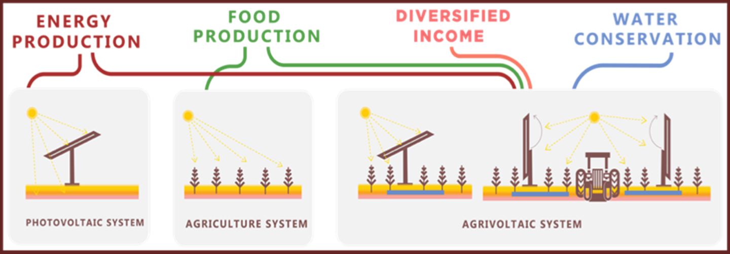 graphic for agrivoltaics