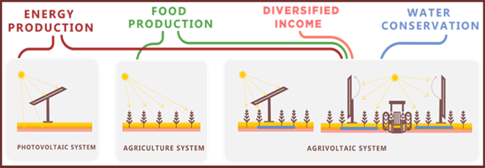 graphic for agrivoltaics