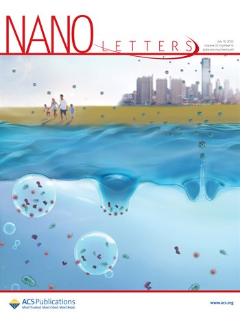 Cover of Nano Letters journal publication
