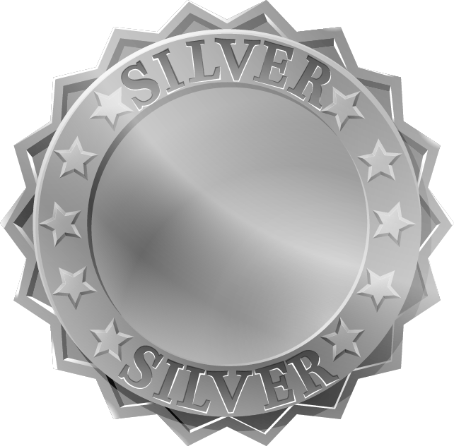 silver medal