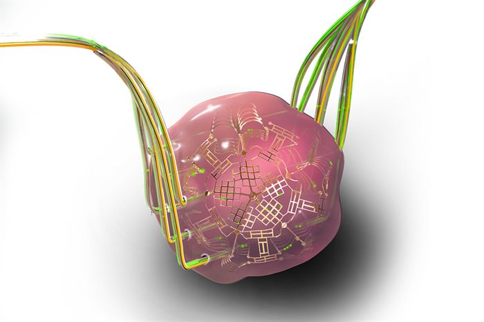 The CZ Biohub Chicago will develop new technologies, such as this instrumented tissue mimic, that will use embedded sensors and probes to better understand and measure human biology.  Graphic by Janet Sinn-Hanlon