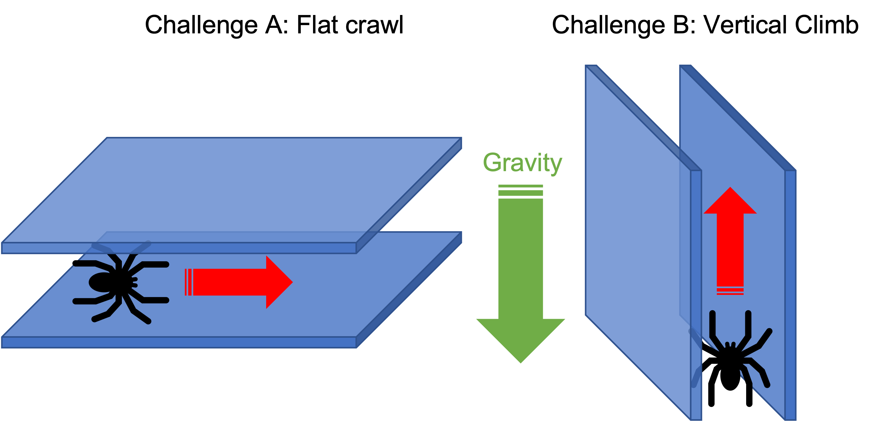 Challenge A: flat crawl, Challenge B: vertical crawl