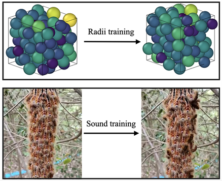 Diagram showing radii and sound training