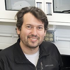 Van der Zande research achievements recognized with Dean's Award ...