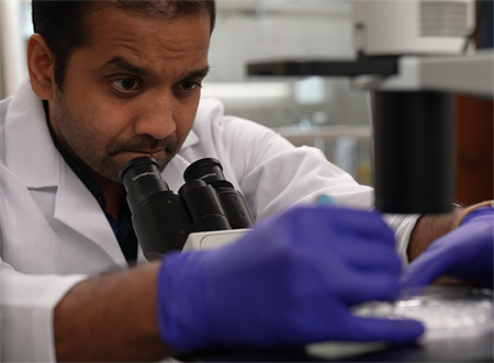 Male student looking through a microscope