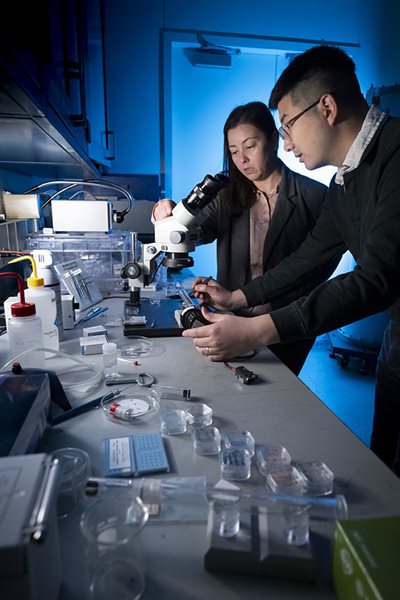 Janelle Wharry in the lab with a male student.